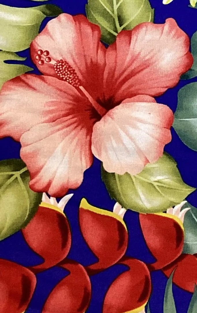 Hawaiian print